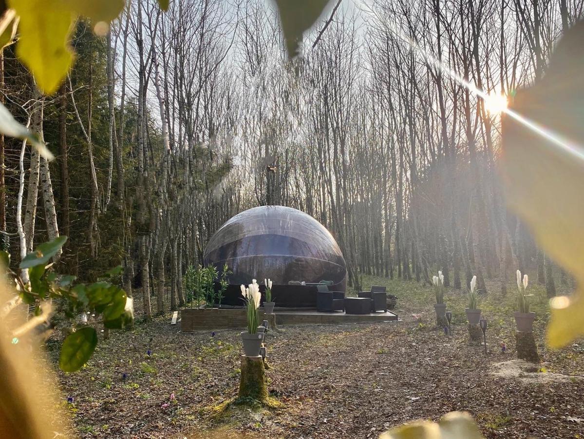 Logement Insolite "Bubble Jungle" Saint-Évarzec Exterior foto
